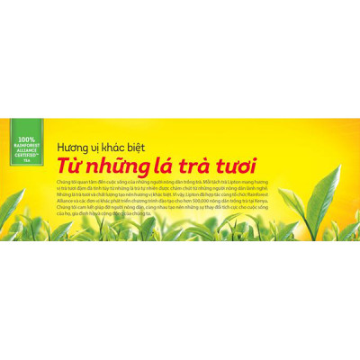 Combo 2 Lipton Trà Đen Nhãn Vàng Nhật Bản (50túi/2g)