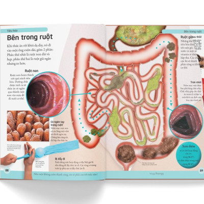 Bách Khoa Cho Trẻ Em - Bách Khoa Cơ Thể Người