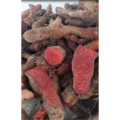 củ ngũ gia bì gai thái lát 1kg