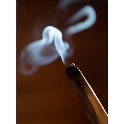 Sét thảo mộc thanh tẩy cơ bản với vỏ sò/ốc tự nhiên