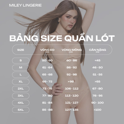 Combo 5 Quần Lót Visco Mềm Mại Phối Ren - Miley Lingerie 