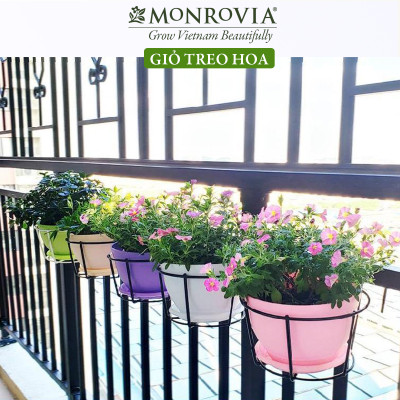 Combo 3 Giỏ treo chậu hoa ban công MONROVIA, giỏ sắt treo chậu hoa ban công, chậu treo ban công, kệ treo ban công, móc treo, khung thép, sơn tĩnh điện chính hãng thương hiệu MONROVIA 