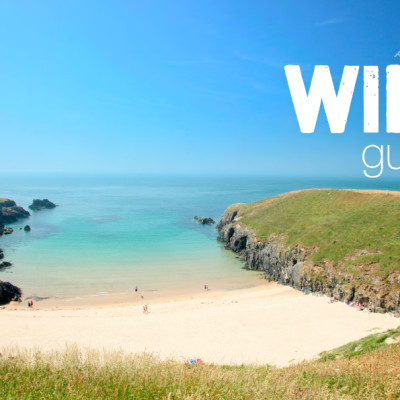 Sách - Wild Guide Wales and Marches : Hidden places, great adventures & by Daniel Start (UK edition, Trade Paperback)