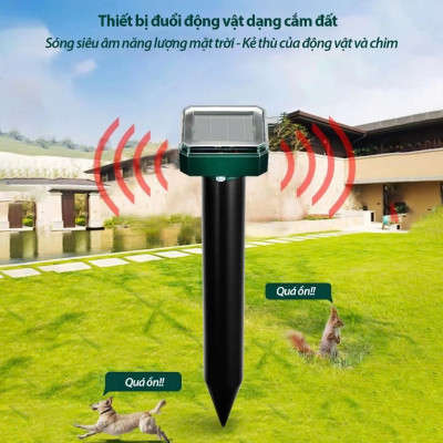 Bảo Vệ Hiệu Quả với Máy Đuổi Chuột Năng Lượng Mặt Trời Hàng Cao Cấp