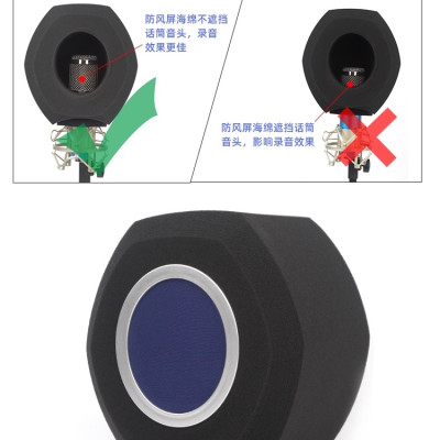 SOAIY Màn Chắn Lọc Âm Giảm Tiếng Ồn, Lọc Tạp Âm Cho Phòng Thu F3 - Hàng Nhập Khẩu