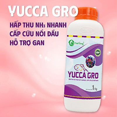 YUCCA GRO - Hấp thụ nhanh khí độc NH3, tránh hiện tượng cá nổi đầu