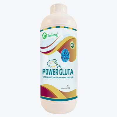 POWER GLUTA - Xử lý nước phổ rộng, diệt khuẩn, virus, nấm