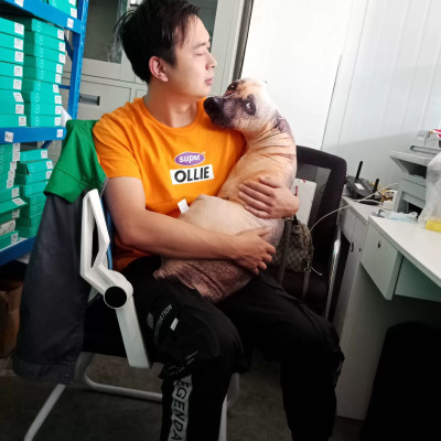 Gấu bông con chó liếc 3D hài hước ship HOẢ TỐC HCM gấu hình chó thật nhồi bông 20cm 50cm 70cm 90cm giá rẻ