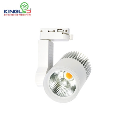 Đèn Led Rọi Ray 20W Beryl (DTL-20SS) KINGLED