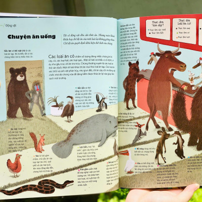 Sách - Bách Khoa Thư Thế Hệ Mới - Bìa Cứng