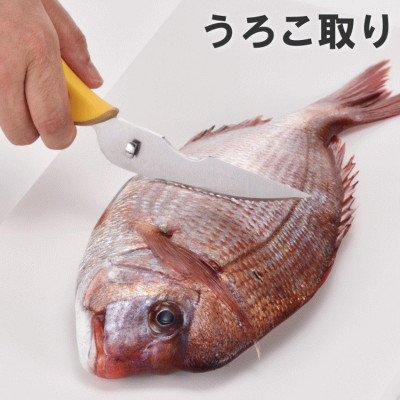 Kéo cắt đa năng Hirosho Mocha Honey - Hàng Nội Địa Nhật Bản