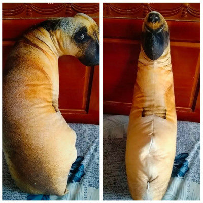 Gấu bông con chó liếc 3D hài hước ship HOẢ TỐC HCM gấu hình chó thật nhồi bông 20cm 50cm 70cm 90cm giá rẻ