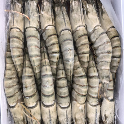 Tôm sú nguyên con sinh thái Seaprodex kích cỡ 14 con/hộp, 500gr