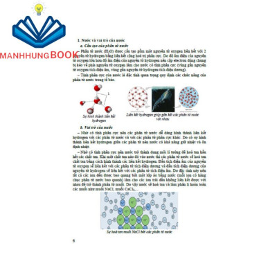 sách - Bồi dưỡng học sinh giỏi sinh học 10 (dùng chung cho các bộ sgk hiện hành)