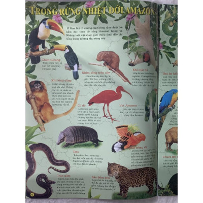 Sách - Quyển Tranh - Thế Giới Động Vật - Tân Việt Books