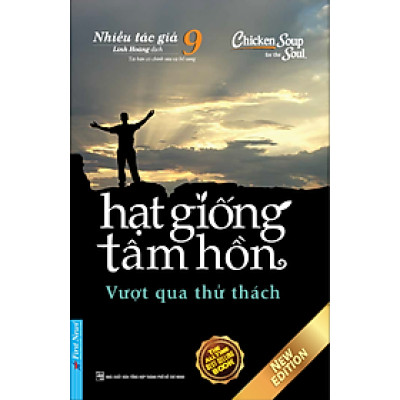 Hạt Giống Tâm Hồn 9 (Tái Bản)