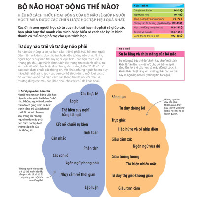 Bách Khoa Thư Về Phát Triển Kỹ Năng - Học Tập