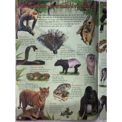 Sách - Quyển Tranh - Thế Giới Động Vật - Tân Việt Books