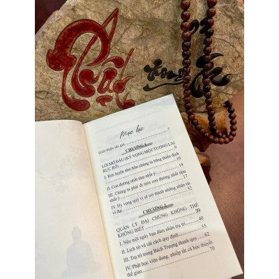 Sách - Thúc Đẩy Giáo Dục Phật Giáo - Nếu Không Phải Chúng Ta Thì Là Ai - Vĩnh Nghiêm Books