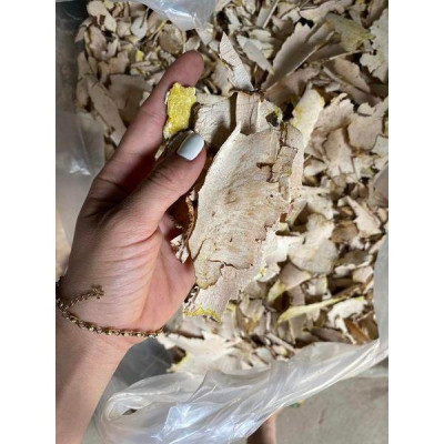 cây tỳ giải phơi khô túi 1kg