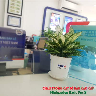 Chậu nhựa trồng cây để bàn cao cấp Minigarden Basic Pot S (Combo 10 chậu) nhập khẩu Châu Âu, Nhựa PP Chống UV, có khả năng tự hút nước và thoát nước giúp cây sống tốt mà không cần chăm sót