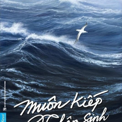 Bộ Sách Nguyên Phong - Combo Trọn Bộ 15 Cuốn Sách Tác Giả Nguyên Phong - Hành Trình Tâm Linh Thức Tỉnh - Bìa Mềm -  First News