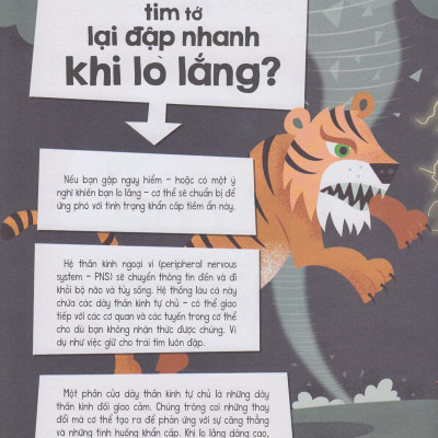 Có Gì Trước Big Bang