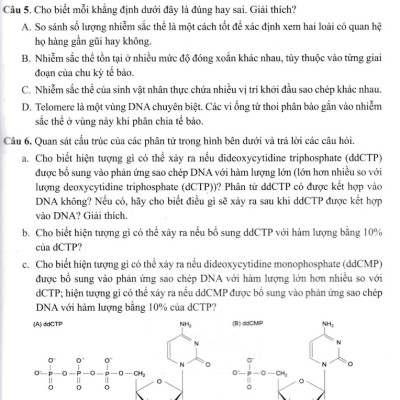 Di Truyền Học - Bài Tập Chuyên Đề_GDDT
