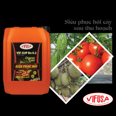 VIF-SUP Bo 0.2 - Phân bón Siêu phục hồi can 20L