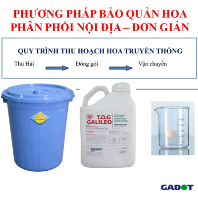 Dung Dịch Xử Lý Hoa TOG Galileo của ISRAEL (Chai 1 Lít) dùng bảo quản hoa cắt cành tươi lâu tại Nhà Vườn Trồng Hoa, Vựa Hoa và Chợ Sỉ Hoa. Tỷ lệ dung dịch 0.1% tức chai 1 Lít TOG pha được 1.000 Lít dung dịch xử lý hoa