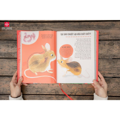 Sách - Bách khoa thư Britannica dành cho trẻ em - Cuốn sách khổng lồ giải đáp 100++ câu hỏi TẠI SAO hóc búa - Đinh Books