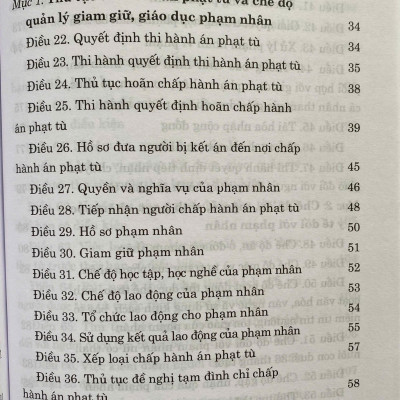 Luật Thi Hành Án Hình Sự Năm 2019