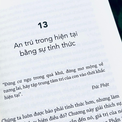 Vươn lên từ nghịch cảnh: Rèn tính kiên cường mỗi ngày (NXB Trẻ)