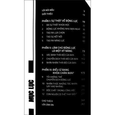 Làm Chủ Động Lực - Làm Chủ Cuộc Đời