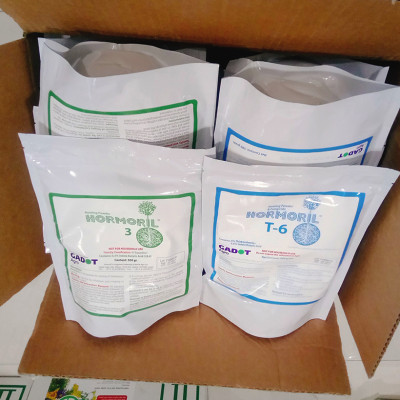 Bột Kích Ra Rễ Israel cho cây Thân Gỗ Hormoril T6 (T with Fungicide)