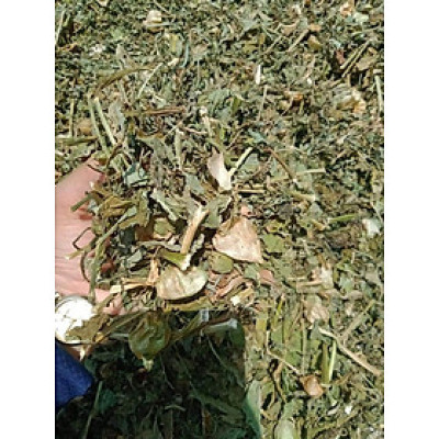 cây tầm bóp phơi khô 1 kg