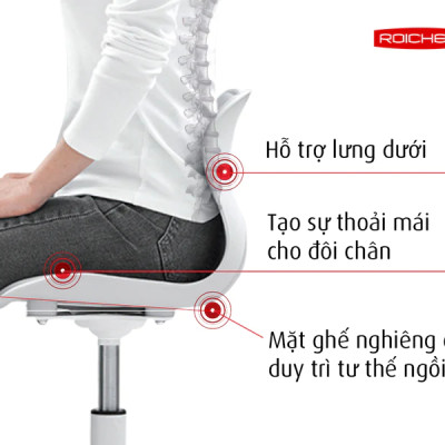 [Ghế Roichen WOW Minh Ngọc] Ghế chỉnh dáng ngồi đúng có chân xoay Roichen - WOW Hàn Quốc. Ghế xám chân trắng