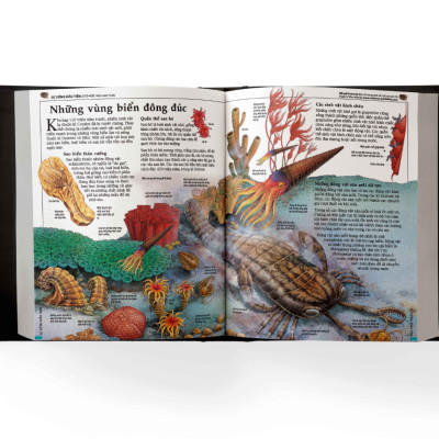 The Usborne: Bách Khoa Lịch Sử Thế Giới - Encyclopedia Of World History