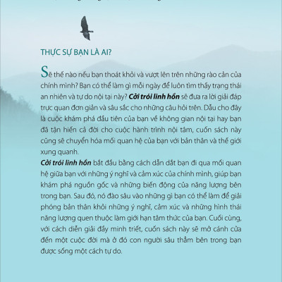 Combo 2 Cuốn : Khi Mọi Điểm Tựa Đều Mất, Cởi Trói Linh Hồn (Tái Bản)