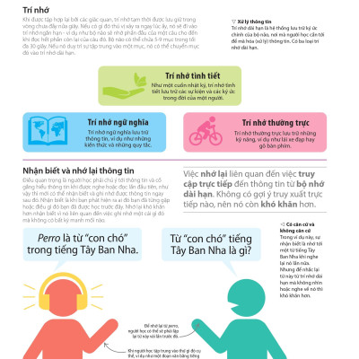 Bách Khoa Thư Về Phát Triển Kỹ Năng - Học Tập