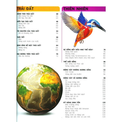 Tri Thức Về Vạn Vật - Một Thế Giới Trực Quan Chưa Từng Thấy (Tái Bản 2023) - Bản Quyền