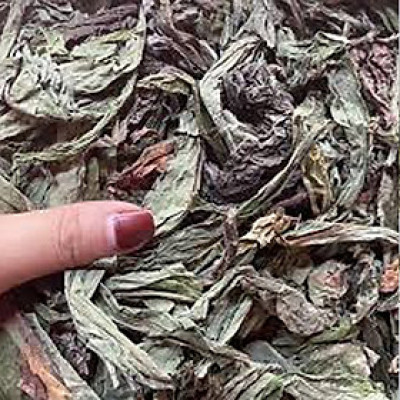 cây lá bồ công anh phơi khô túi 1kg