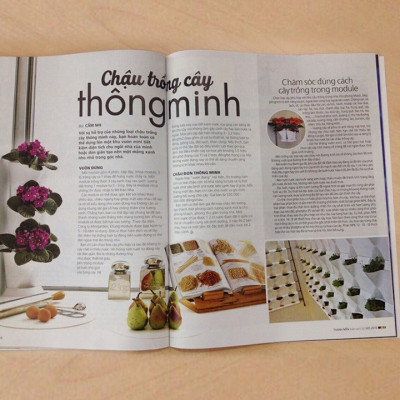 Chậu Để Bàn Tự Tưới và Tự bón phân Basic S , nhập khẩu Minigarden dành cho người yêu cây xanh nhưng không có thời gian chăm sóc cây (Giải pháp trồng cây TỰ DƯỠNG bền vững) (1 bộ gồm 2 chậu S, 1 khay hứng nước, 1 bình chứa nước và phân)