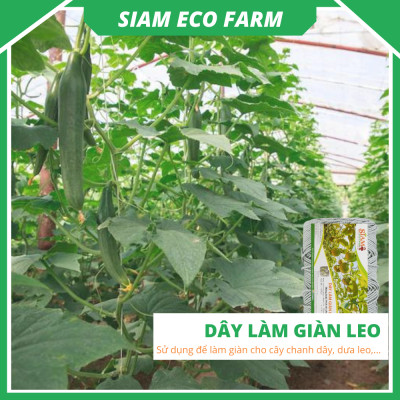 Dây làm giàn leo 3mm Siam Ecofam - chuyên làm giàn chanh leo, giàn bầu bí siêu bền