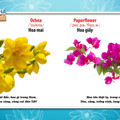 Song Ngữ Anh - Việt CBKPTGXQ - Hoa