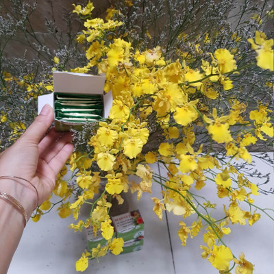 Set 2kg Dung Dịch Xử Lý Hoa Lan Vũ Nữ Tươi Lâu Longlife SG Israel - Food For Cut Flower (1kg pha được 100L dung dịch) là dung dịch trong TIP Nhựa bảo quản Hoa Lan Vũ Nữ cắt cành tươi lâu