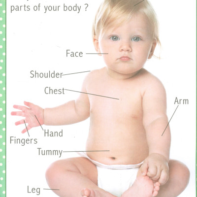 My First Early Learning - Parts Of Body Book (Bài học đầu tiên của tôi - Sách về cơ thể người)