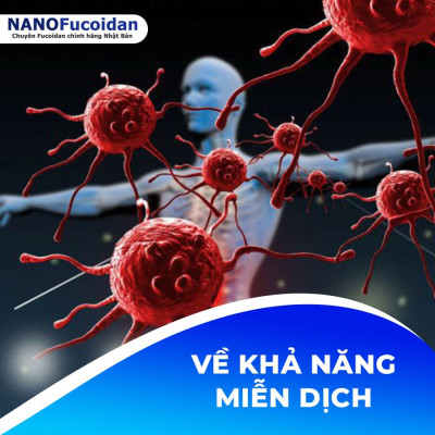 Combo Thực Phẩm Chức Năng Nano Fucoidan Hộp 30 Gói Và Viên Thể Nấm Agaricus Hộp 300v Của Nhật Bản, Phòng Và Hỗ Trợ Điều Trị Ung Thư, Cải Thiện Tình Trạng Sức Khỏe, Tăng Đề Kháng Miễn Dịch, Đường Huyết, Tình Trạng Viêm Dạ Dày, Tá Tràng