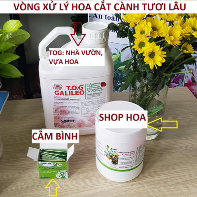 Thuốc Chăm Sóc Hoa tươi Cắm Xốp Lâu Tàn tại shop hoa Longlife SG của Israel (Combo 5KG pha 500L nước tiết kiệm) giúp hoa tươi gấp 2 lần và hạn chế thay hoa định kỳ, hoa cắm lẵng tươi lâu