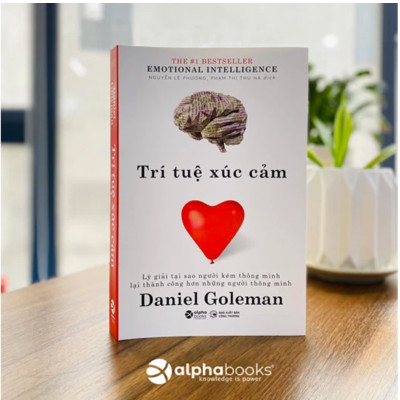 Trí Tuệ Xúc Cảm (Emotional Intelligence) 
